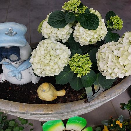 Queen House Apartman Zagrzeb Zewnętrze zdjęcie